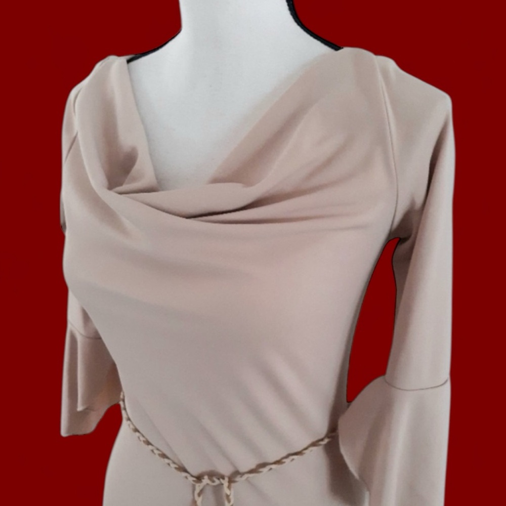 Elegant Beige Cowl Neck Dress - Picture 4 of 8